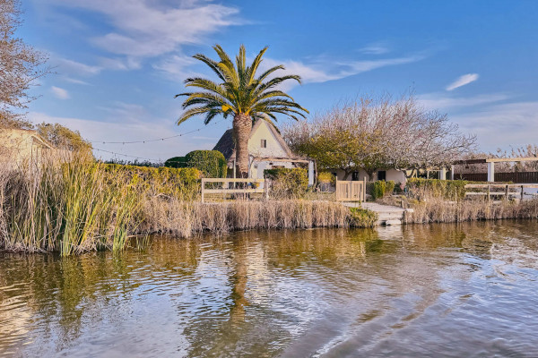 Albufera Natural Park wetlands and rice fields near Valencia
