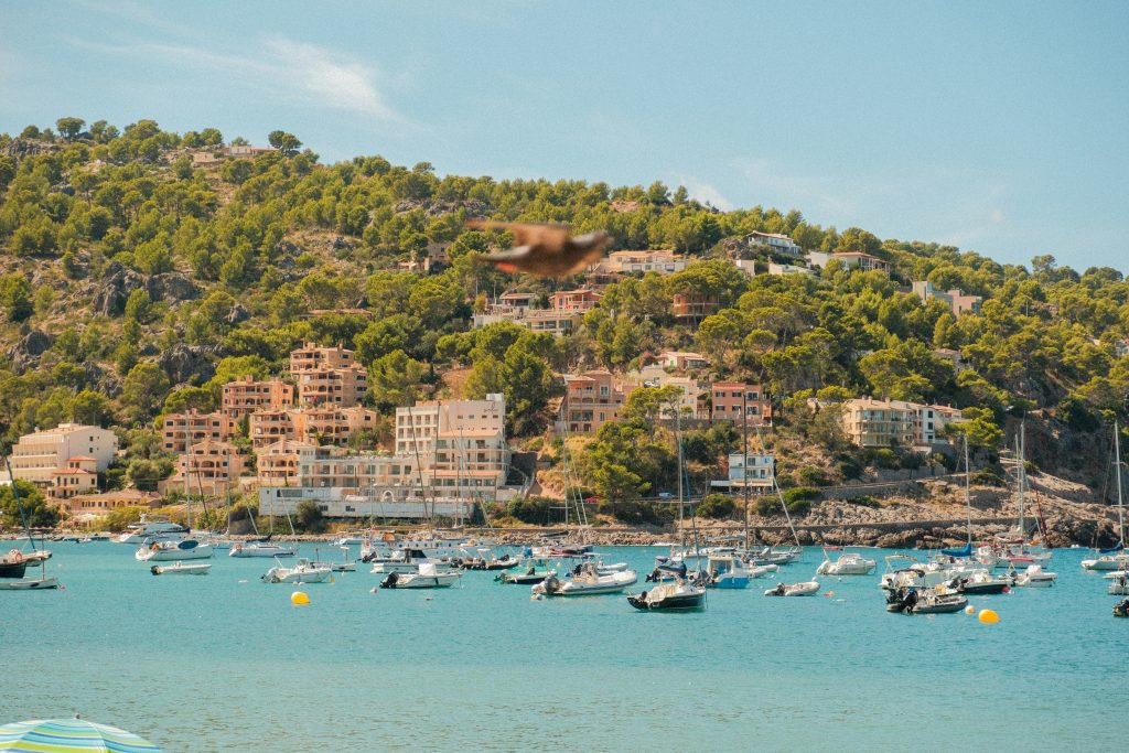 Port de Sóller harbor in Mallorca with colorful boats, mountains, and seaside promenade