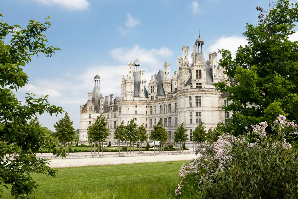 Loire Valley castles surrounded by vineyards