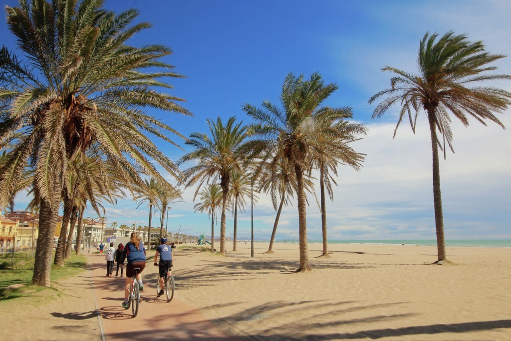 Patacona Beach in Valencia with sandy shoreline, palm trees, and Mediterranean Sea
