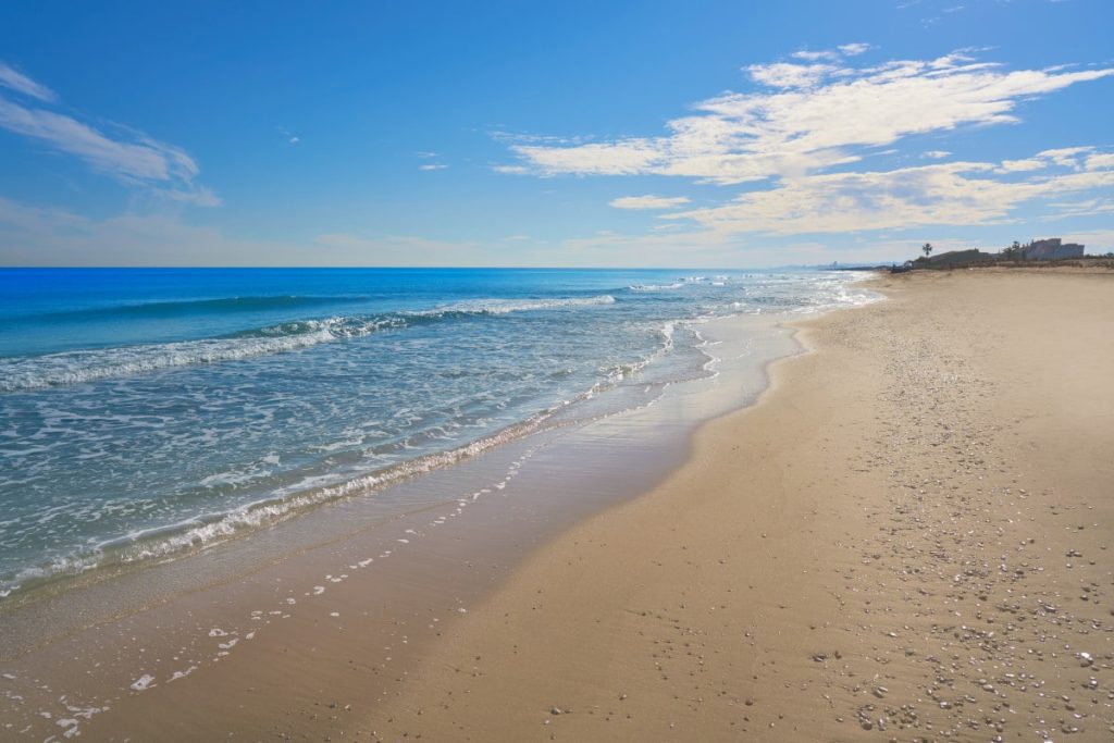El Saler Beach near Valencia with natural dunes, pine trees, and Mediterranean Sea

