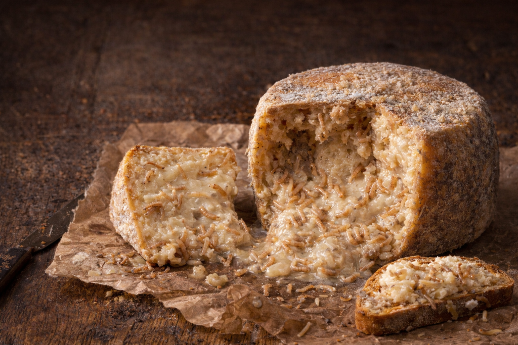 Traditional Casu Marzu cheese from Sardinia, shown close-up with its aged texture, representing one of the world’s most controversial traditional foods