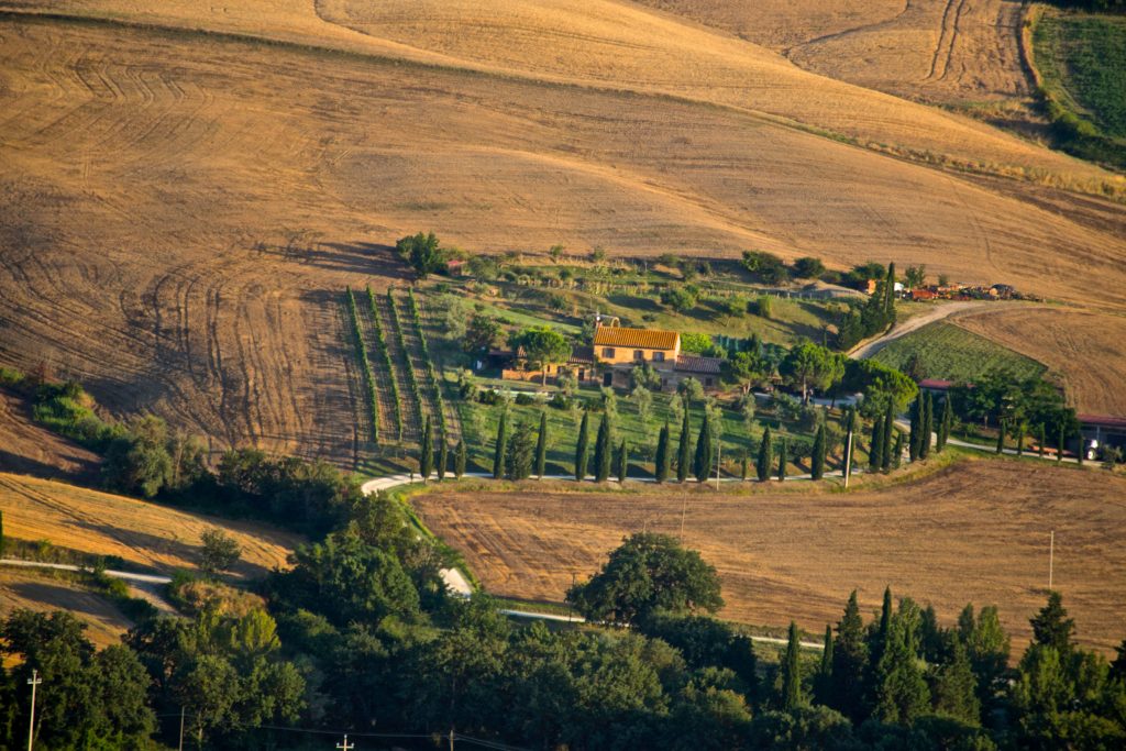 Rolling hills of Val d’Orcia in Tuscany with winding roads, cypress tree rows, and golden fields under soft sunlight, a UNESCO-listed cultural landscape.