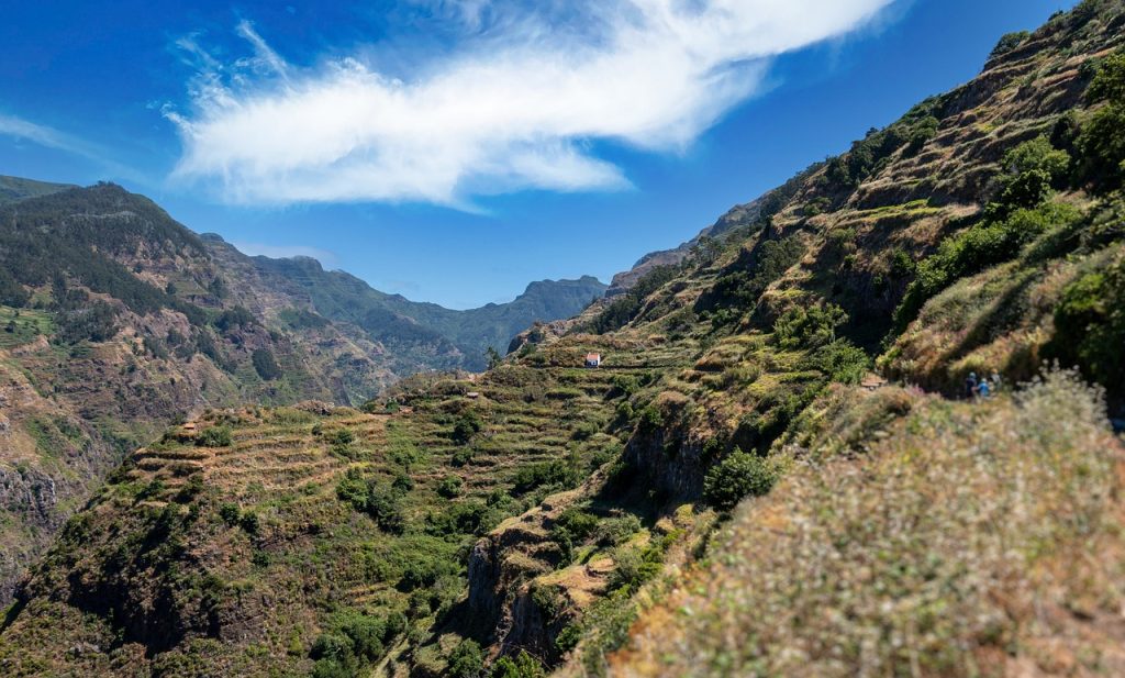 Levada hiking trail in Madeira with irrigation channel and lush green forest
