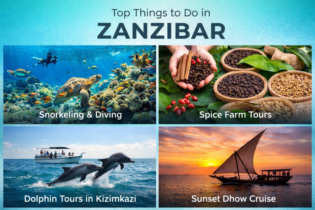 Popular Zanzibar activities featuring snorkeling and diving at coral reefs, spice farm tour spices, dolphin tour in Kizimkazi and traditional dhow sunset cruise.