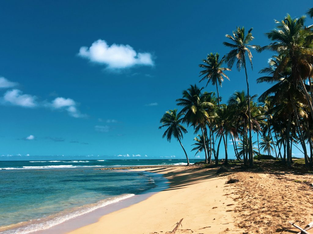 Dominican Republic Travel Guide tropical beach with palm trees, turquoise water, and white sand