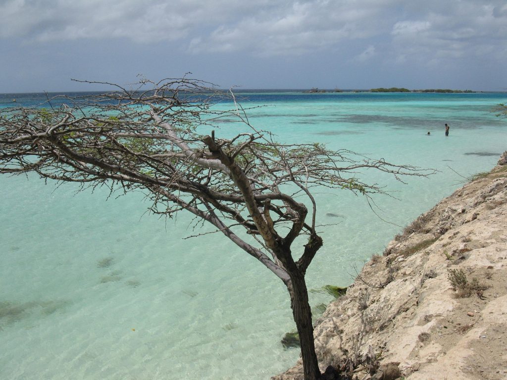 Aruba Travel Guide Manchebo Beach peaceful white sand beach with turquoise Caribbean water and palm trees