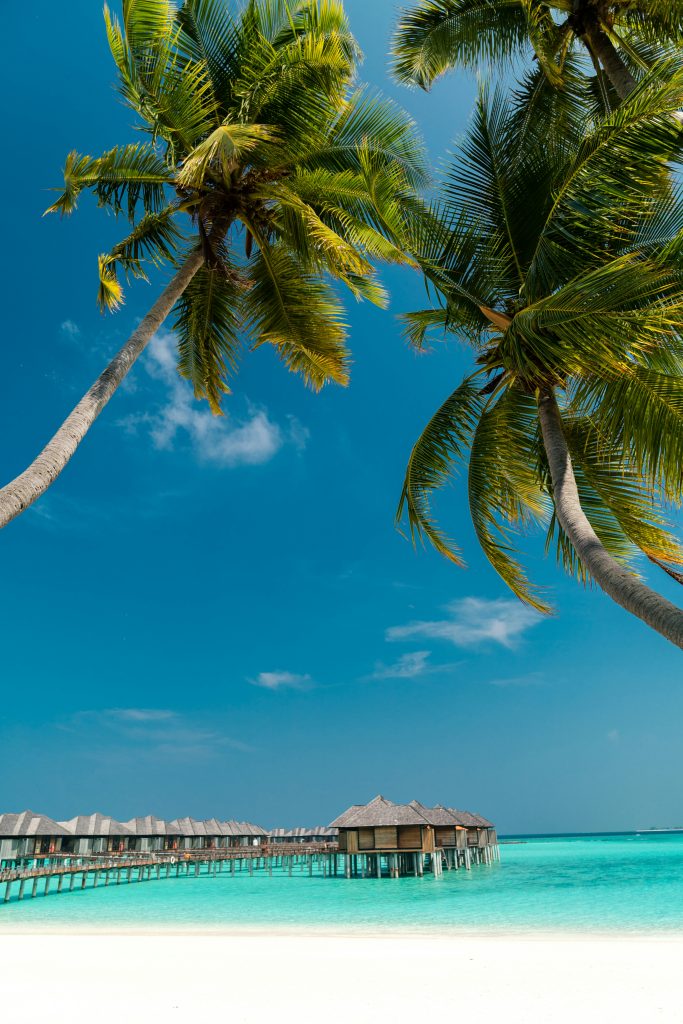 Maldives Travel Guide: What to Know Before You Go