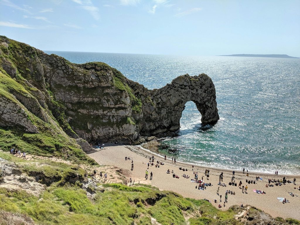 Dunedin Coast beach in New Zealand with rugged cliffs, ocean waves and South Island wildlife shoreline