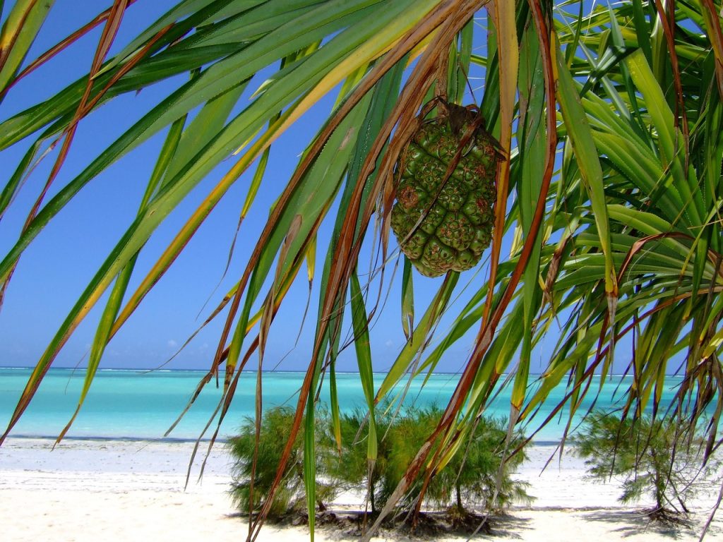 Nungwi Beach in Zanzibar with turquoise Indian Ocean water, white sand and traditional wooden boats