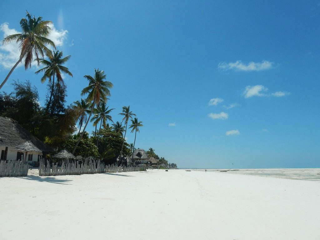 Paje Beach Zanzibar with turquoise lagoon, palm trees and kitesurfing conditions on the Indian Ocean