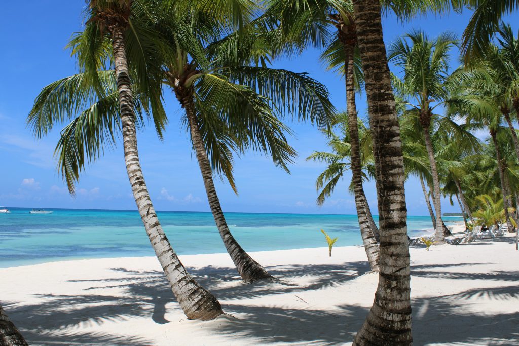 Dominican Republic Travel Guide Punta Cana beach with palm trees and turquoise water