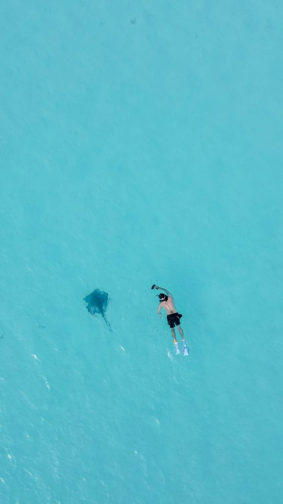 Bahamas Travel Guide swimming with stingrays in shallow turquoise water in the Bahamas