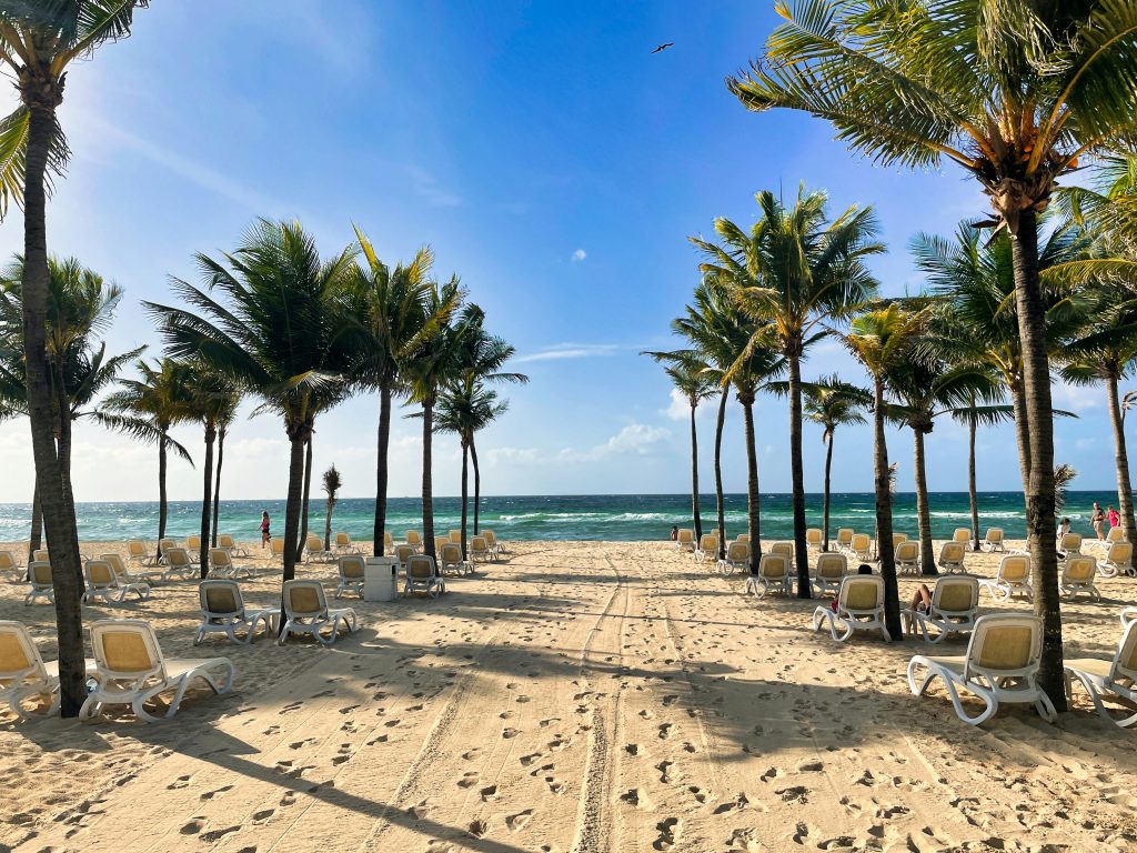 Playa del Carmen Mexico beach town with palm trees clear water and coastal promenade