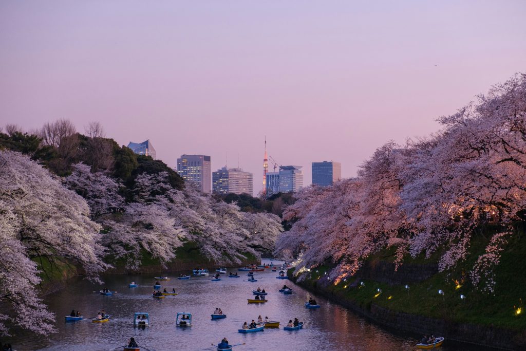 Japan Travel Guide: Best Places, Itinerary, Costs, Transport and Essential Tips