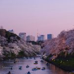 Japan Travel Guide: Best Places, Itinerary, Costs, Transport and Essential Tips
