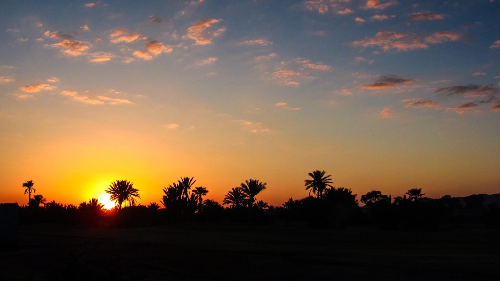 Sunset sky with palm trees in Marrakech