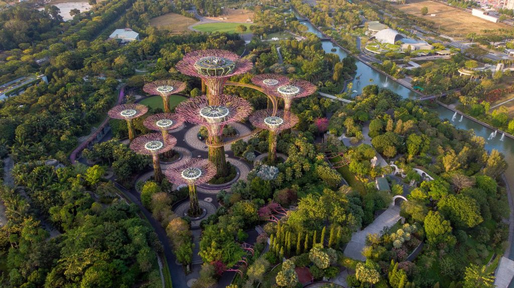 Aerial view of Gardens by the Bay with Supertree Grove surrounded by tropical greenery and Singapore skyline in the distance