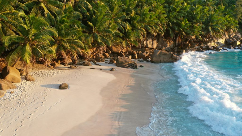 Tropical white sand beach lined with palm trees and crystal-clear turquoise water