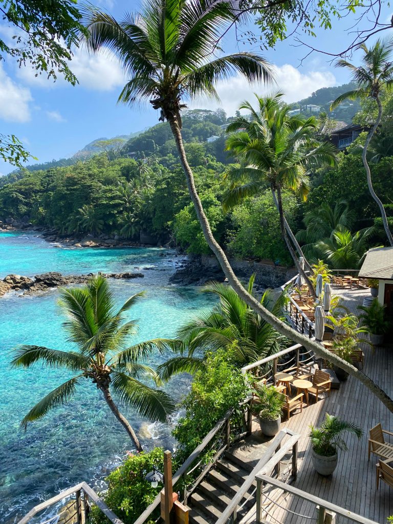 Tropical Seychelles coastline with palm trees, crystal-clear water, and lush island scenery