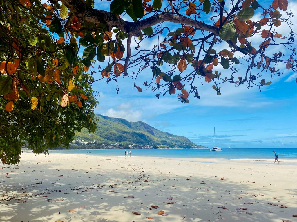 Beau Vallon beach on Mahé Island with white sand, turquoise water, tropical trees, and mountains in the background