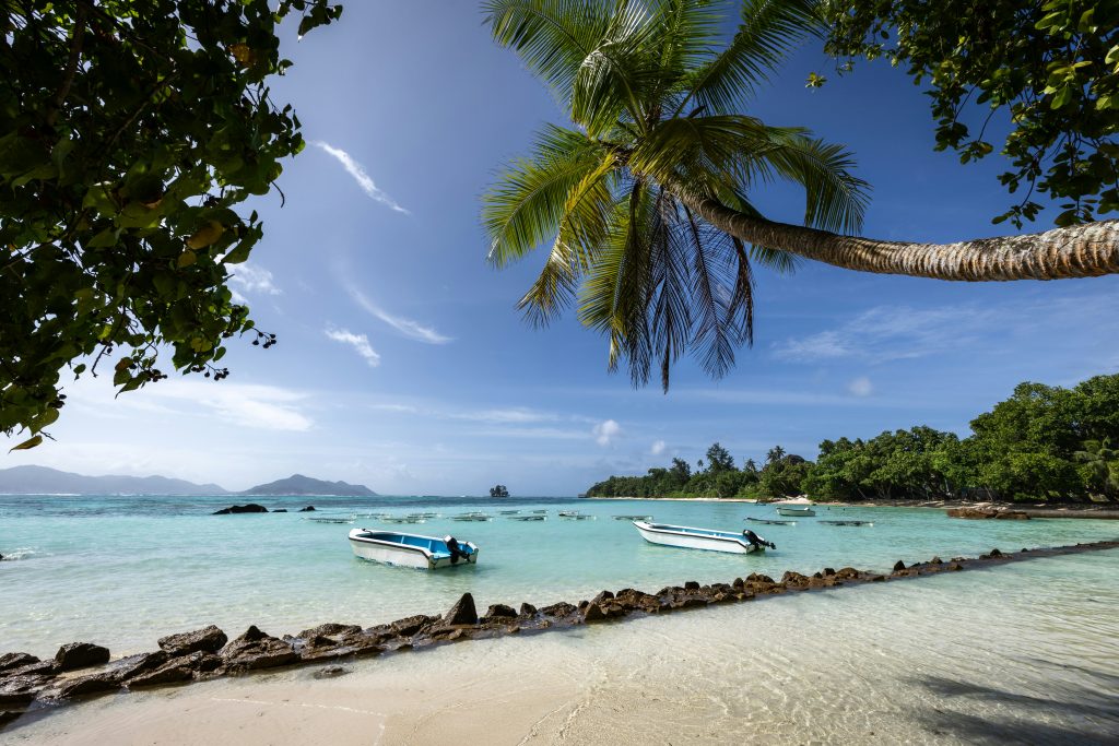 Palm tree leaning over a tropical beach with clear turquoise water and small boats