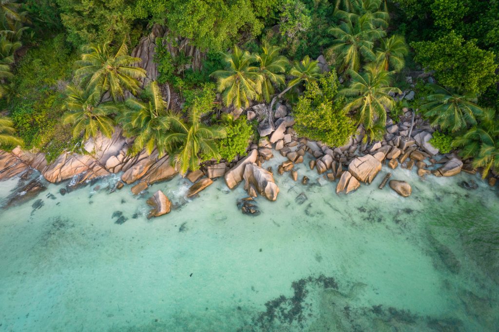 Aerial view of a tropical coastline with granite boulders, palm trees, and crystal-clear water